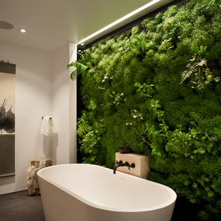 green bathroom