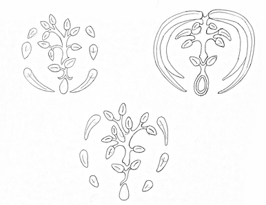 Illustration (3).png