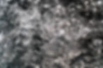 DSC00138.jpg
