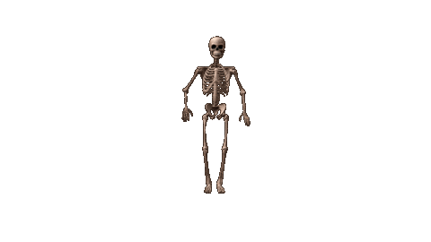 giphy (1).gif