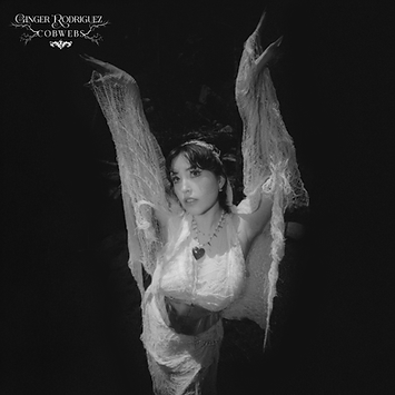 Cobwebs Cover Art (1).png