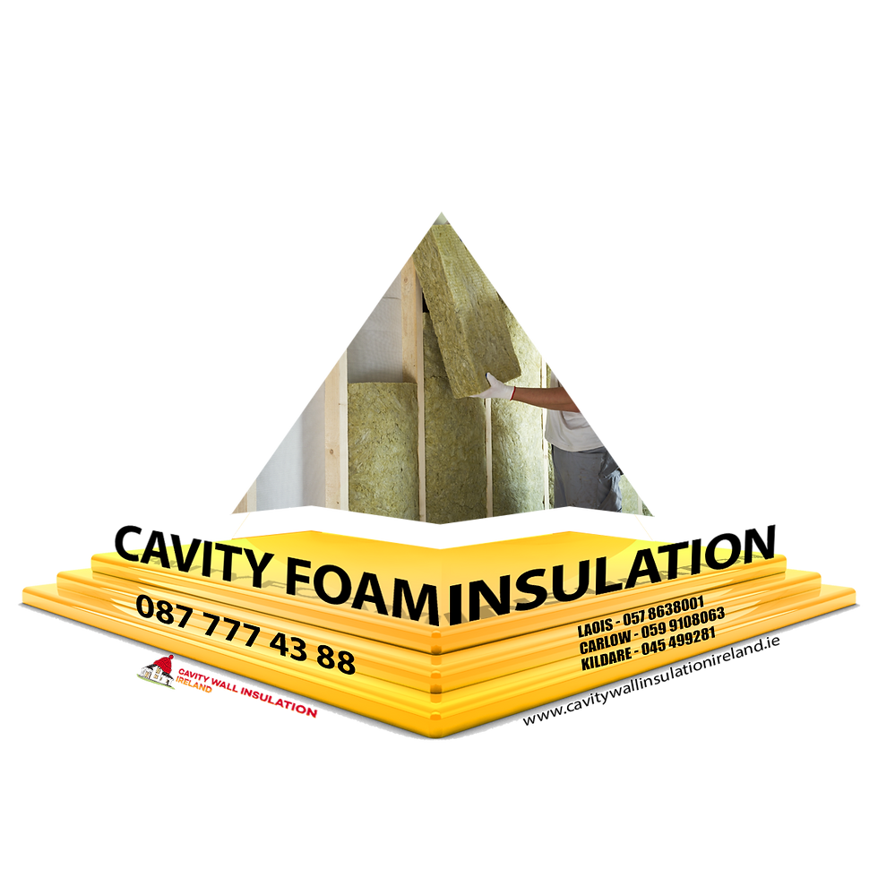 Cavity foam insulation