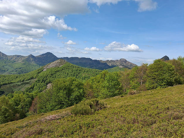 Paysage des Monts du Cantal depuis le Puy Griou
