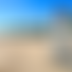 Our Latest Collaboration!