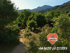 AMANDO LA SIERRA