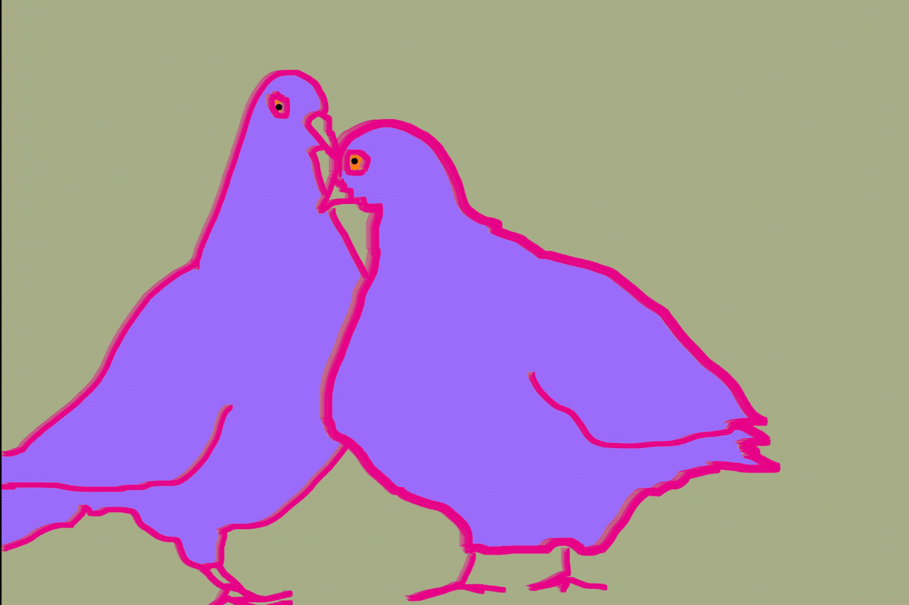 pigeon makeout-Aashna.gif