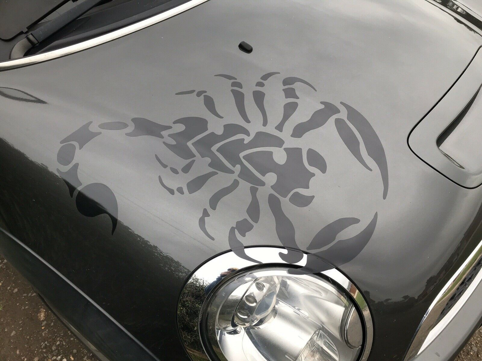 SCORPION BONNET DECAL