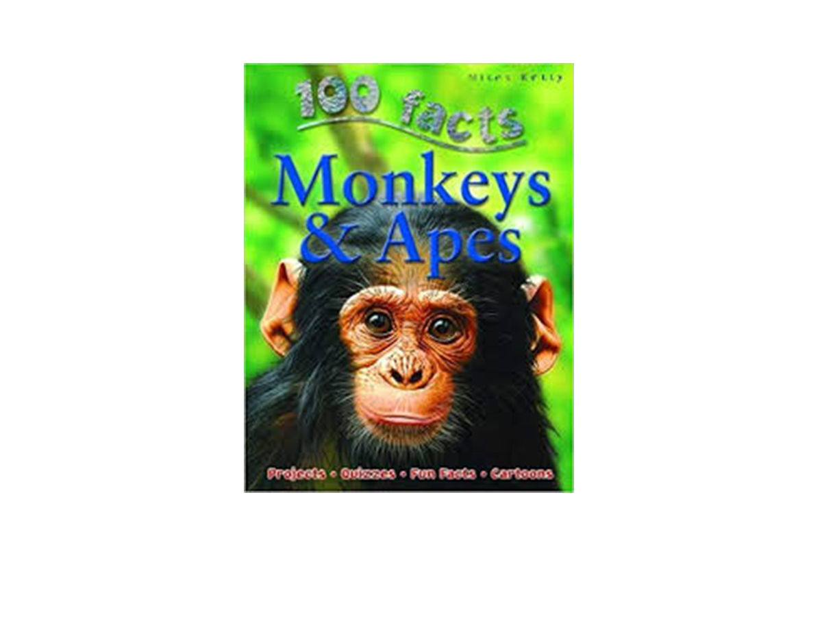 100 Facts - Monkey And Apes