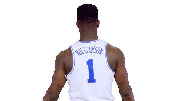 ZION1GIF.gif