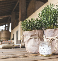 rosemary