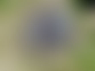 More than $35,000 raised for future campus plans!