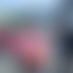 Your Giving Tuesday generosity raised $8,719 toward future campus plan