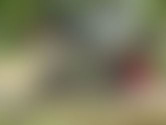 Bilder aus einer anderen Welt.