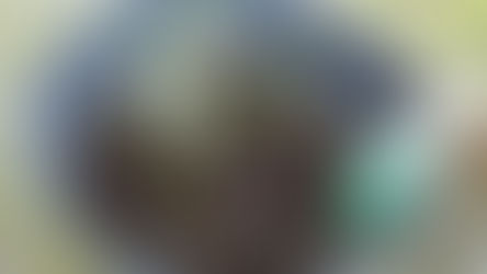 冬の園芸療法2021年度チオノドクサ編　⑯