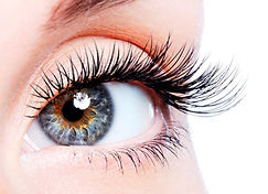 Eyelash Extensions. Santa Monica Beauty and Hair Salon