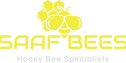 Original on Transparent.png