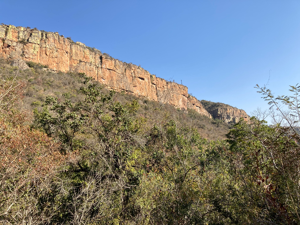 Looking up when descending into the Blyde Canyon on Belvedere hiking trail