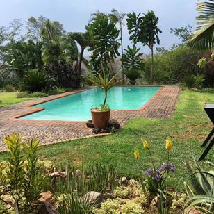 Photo of Swimming Pool A at ilanda Guest House in White River, Mpumalanga on a windy day.