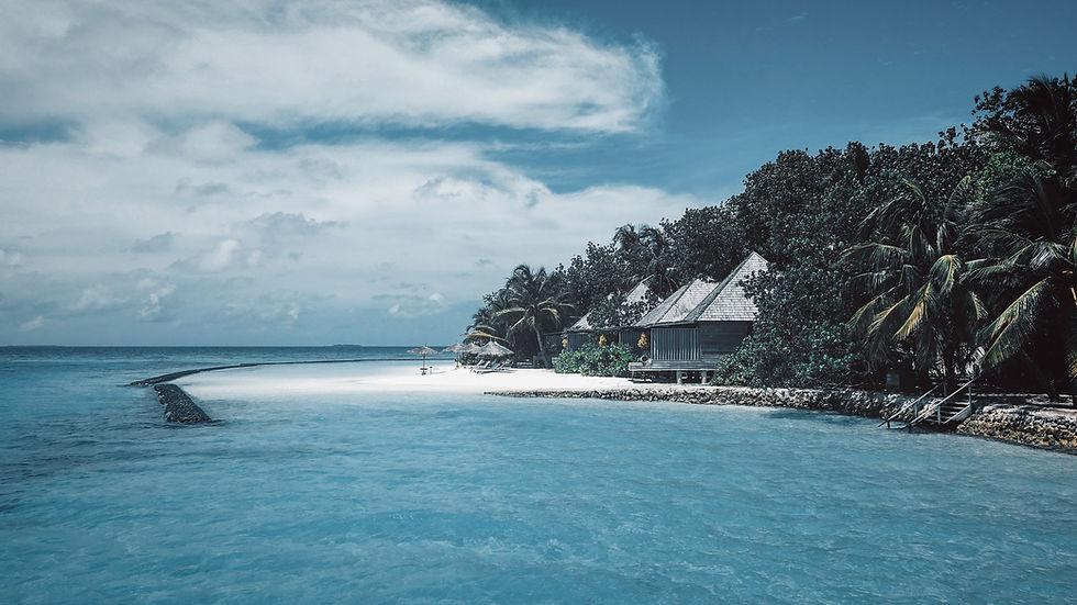 Tropical Beach Scene