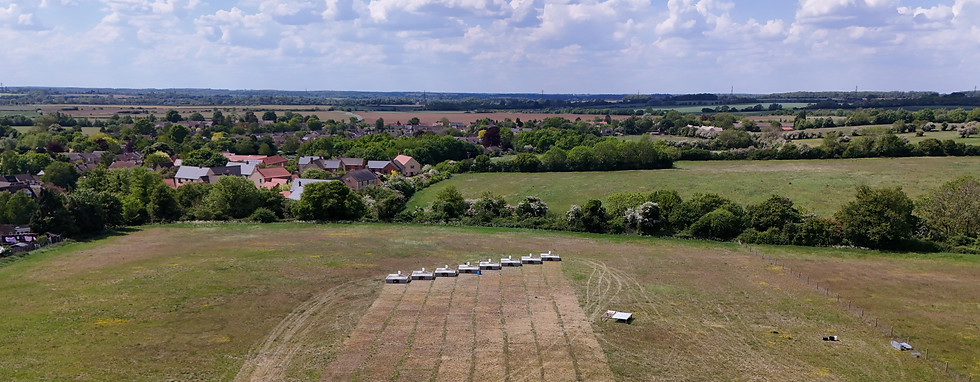 Castors Pastures Field