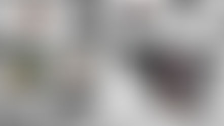 ROSWELL/débris : "Ce n'est pas ce que j'ai vu sur le sol de notre cuisine !"