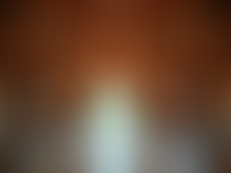 Wedding Packages Tailored for Michigan Couples: Discover Michigan Wedding Bundles