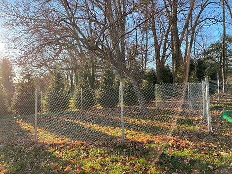Tree Preservation Construction Fence