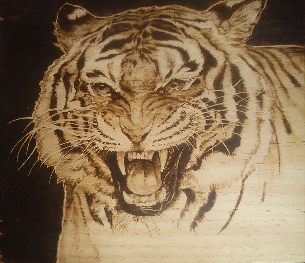 Tigre