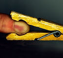 pinza.perra.jpg