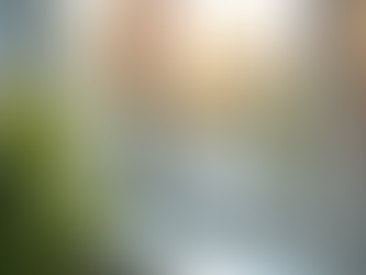 Boost Your Home's Efficiency with Energy Efficient Windows