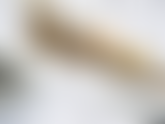 Tributação no Brasil: como entender o sistema tributário brasileiro e suas implicações para empresas e profissionais contábeis