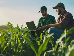 Como as Holdings são estruturadas no Agronegócio e como elas podem otimizar a gestão