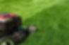 Blog-356-Guide-to-Summer-Lawn-Care.jpg