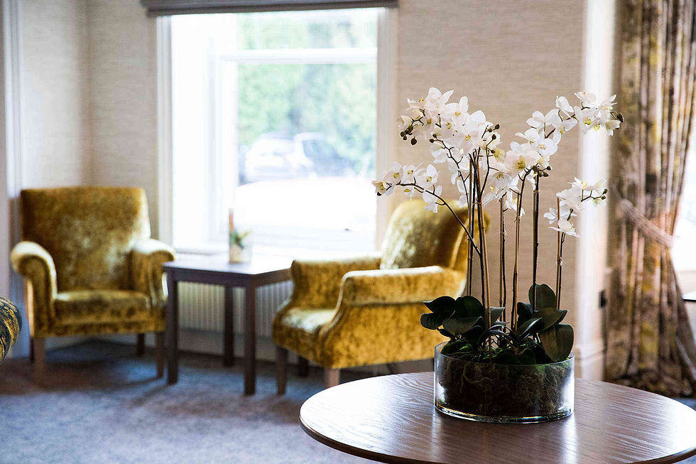 lounge-sofa.jpg