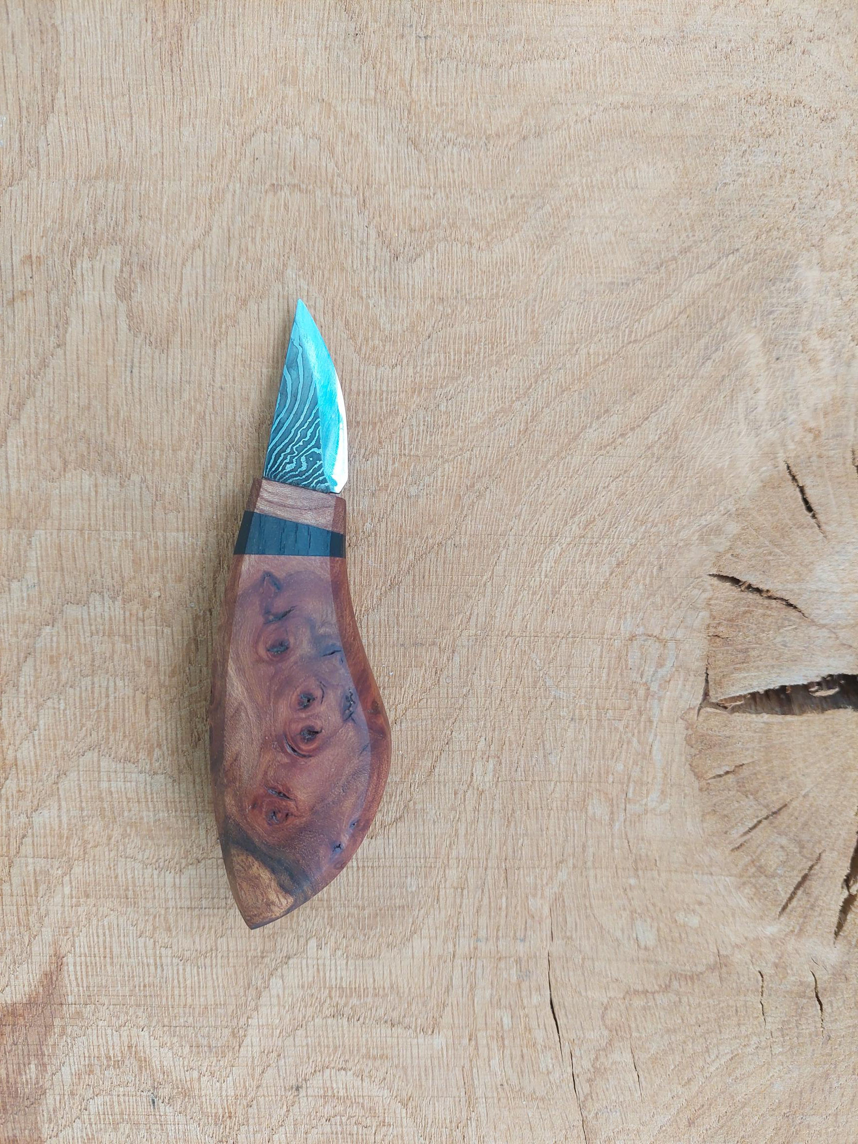 Elm burr damascus carver