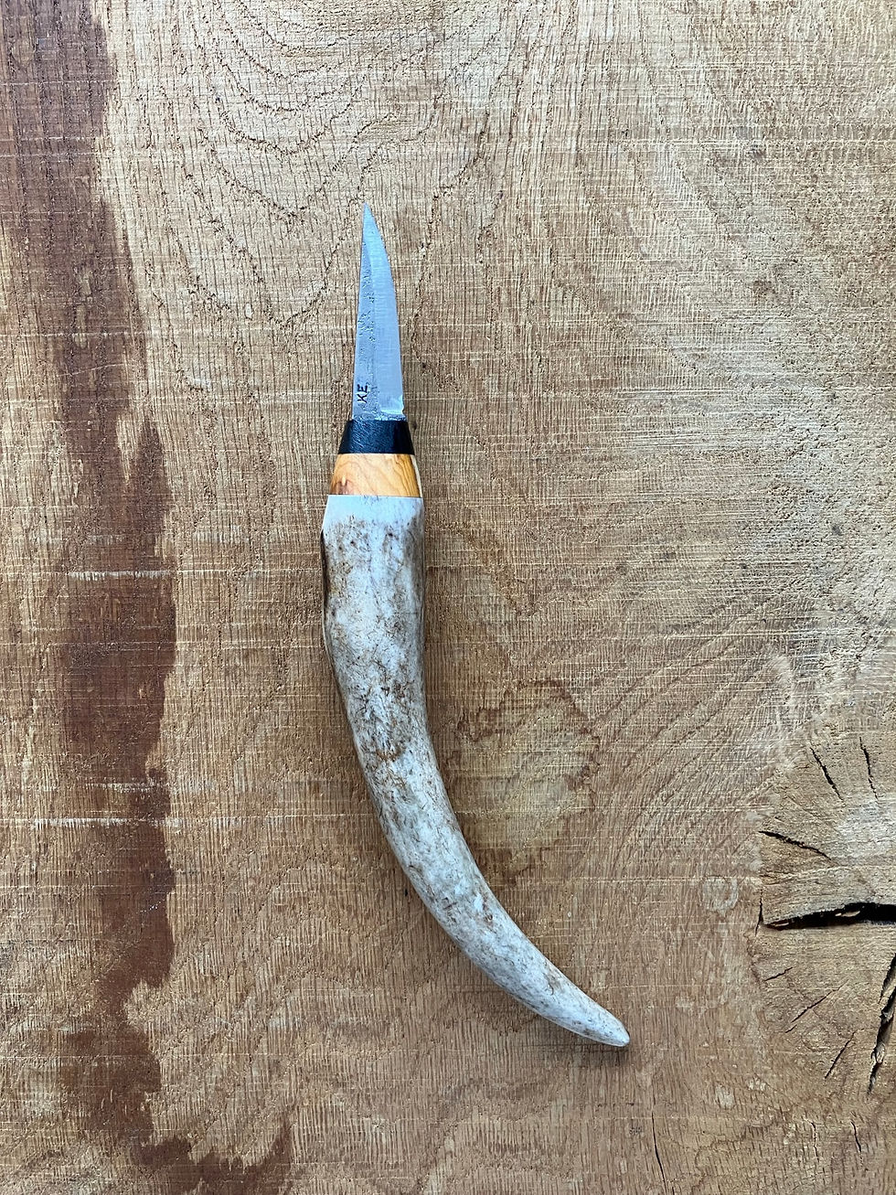 Antler handled carver