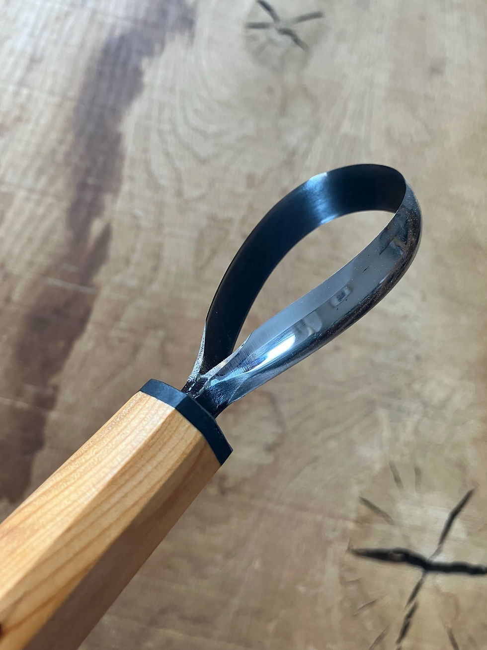 Thumbnail: Yew burr scorp