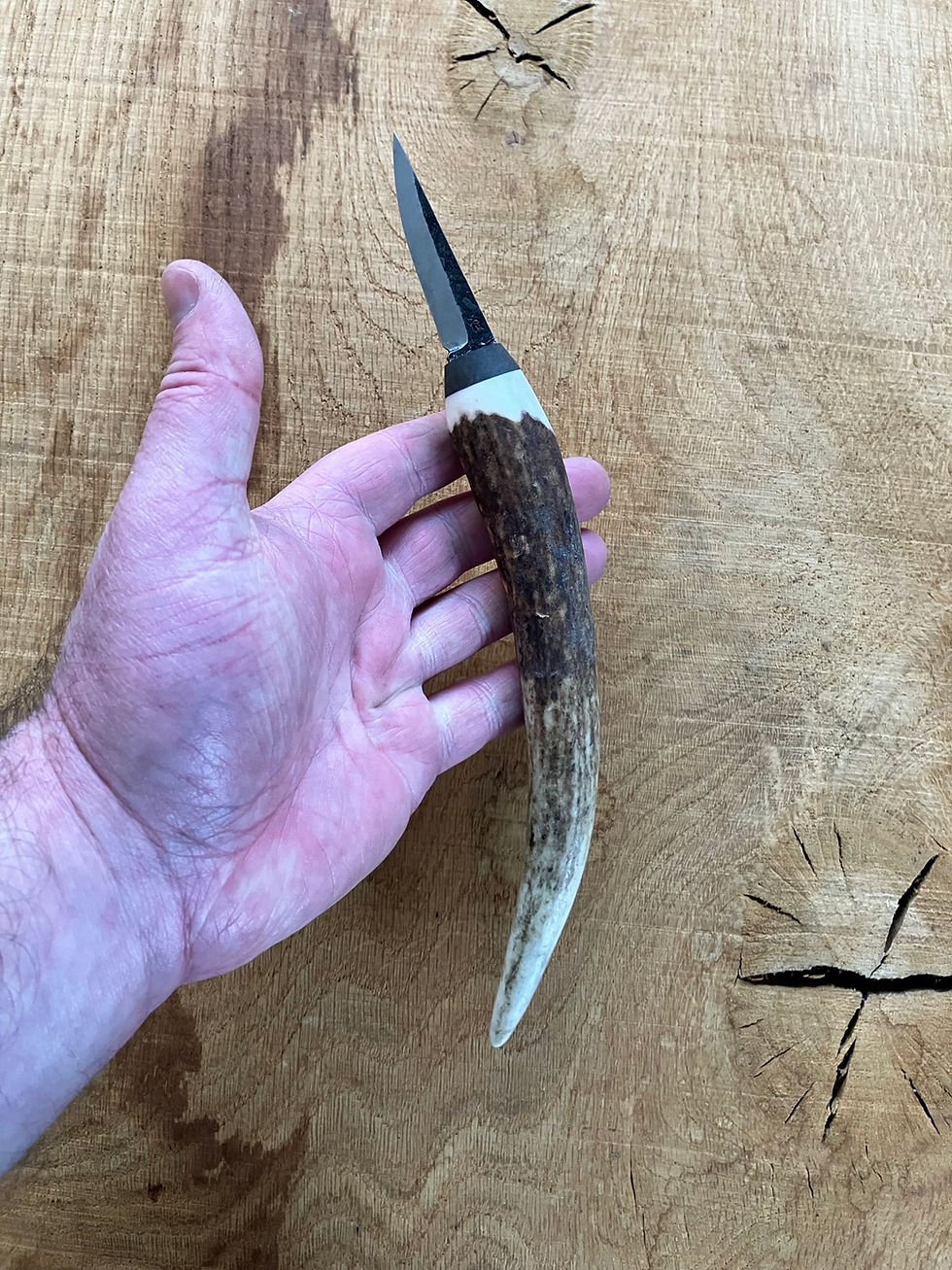 Thumbnail: Red deer antler sloyd