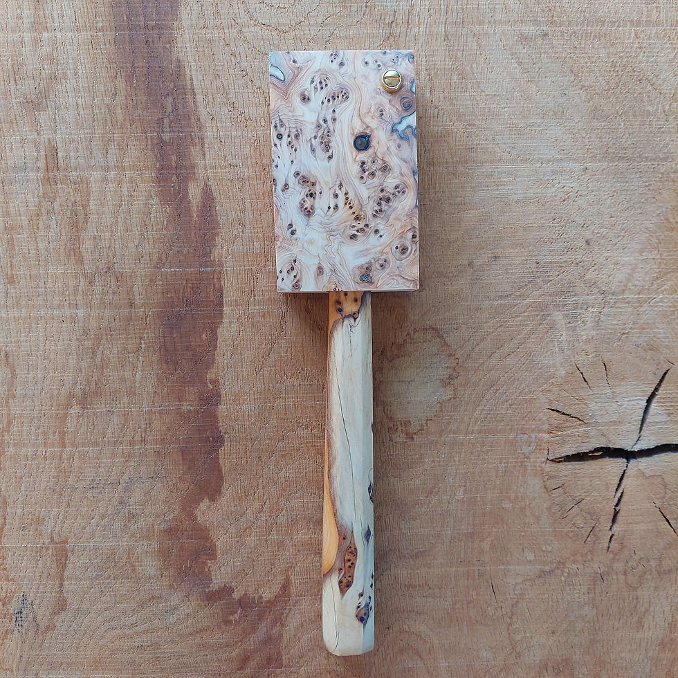 Thumbnail: Yew burr scorp