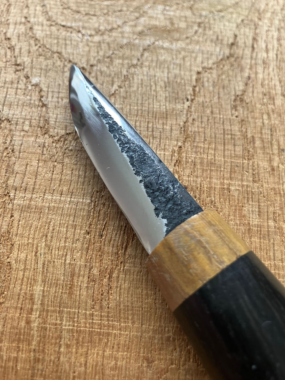Thumbnail: Bog oak yakutian