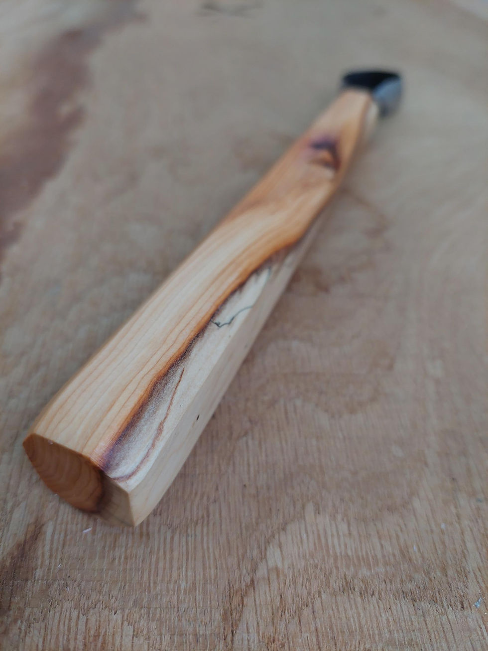 Thumbnail: 25mm yew burr scorp