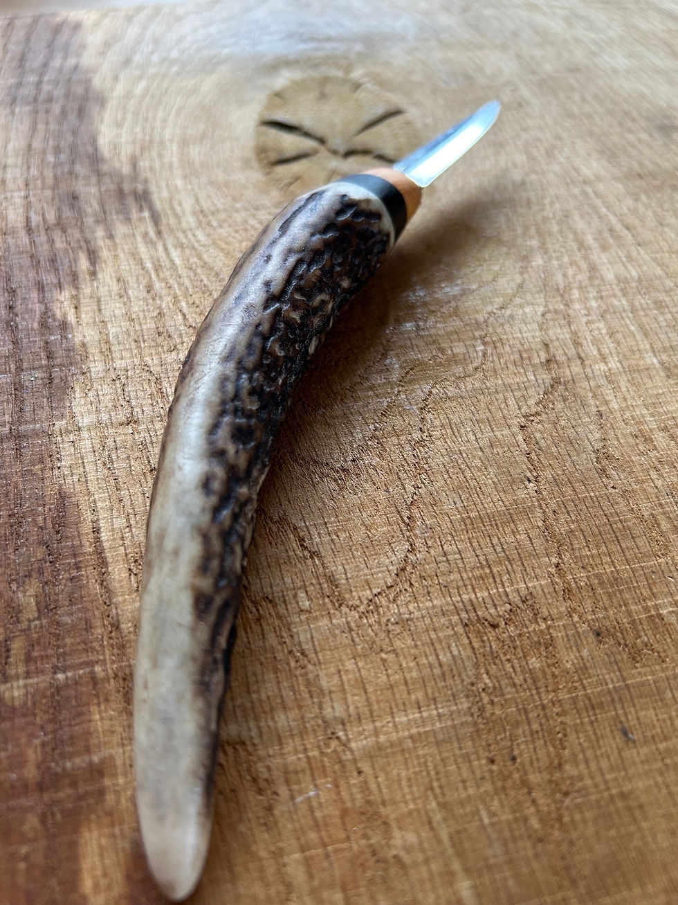 Thumbnail: Antler caver curvy