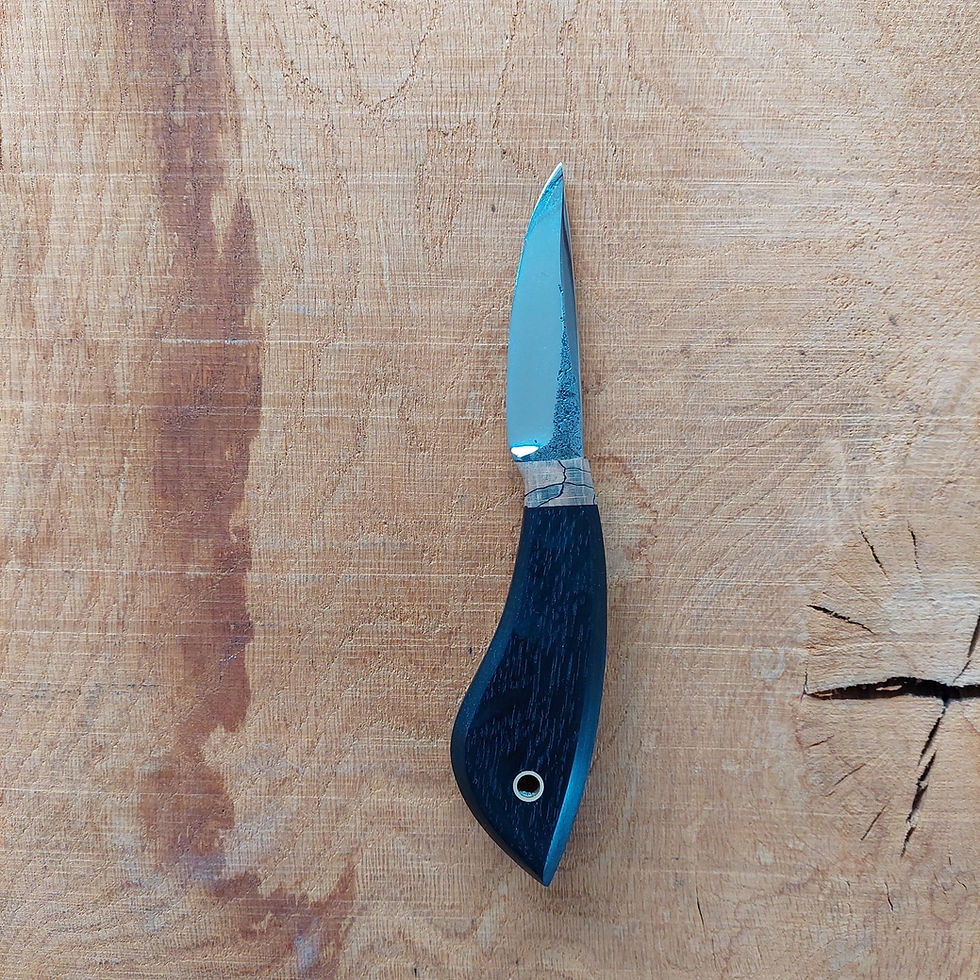 Thumbnail: Bog oak yakutian