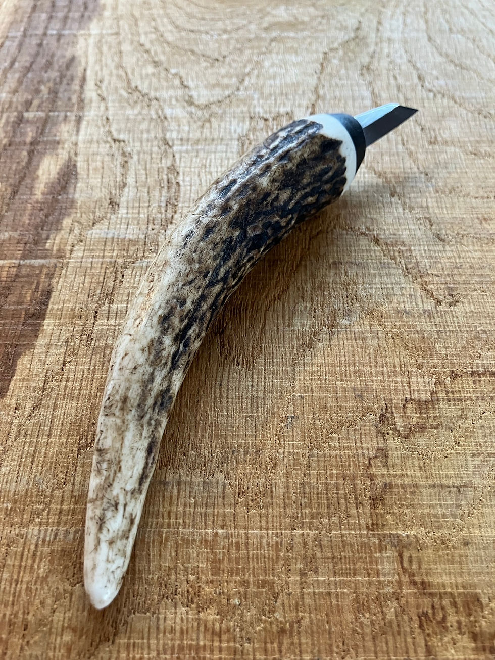 Thumbnail: Antler chip carver