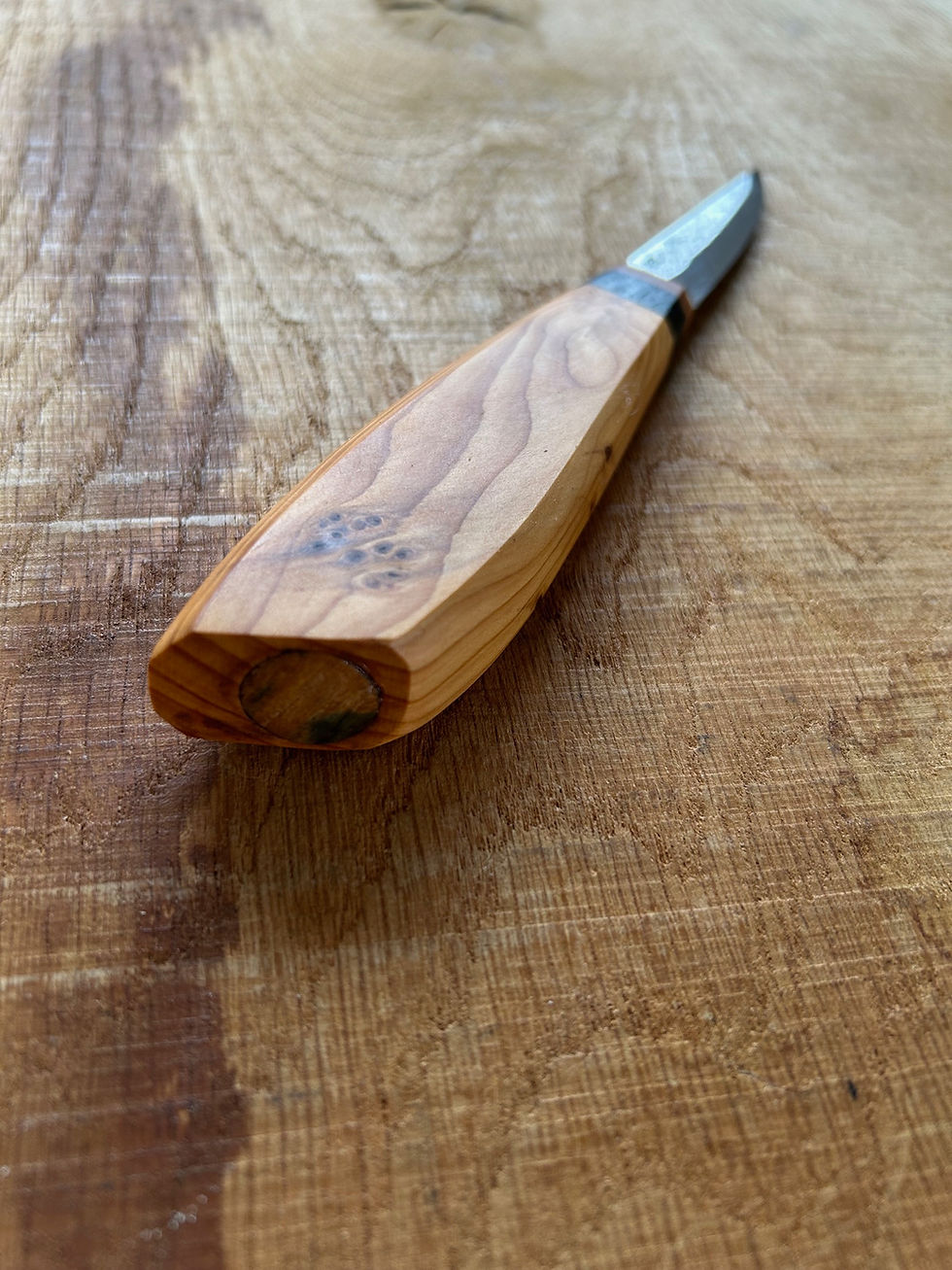 Thumbnail: English yew and mammoth tusk