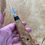 Thumbnail: Welsh burr oak