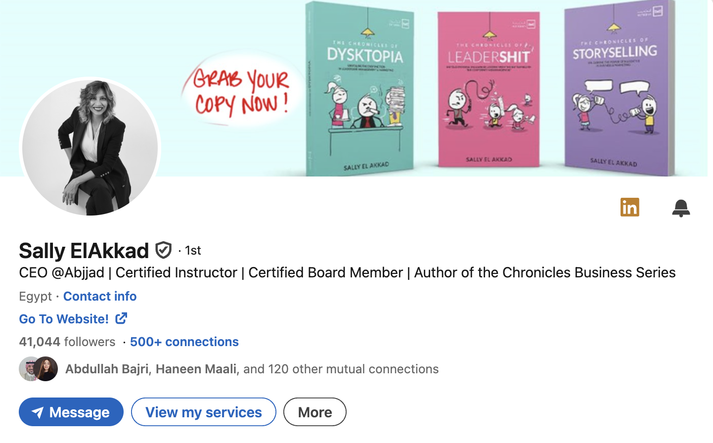 Screenshot of Sally Elakkad's LinkedIn Account