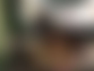 Say-What-You-See in a Photograph