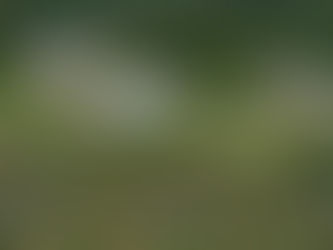 Ein Werk der Hoffnung für den Kongo