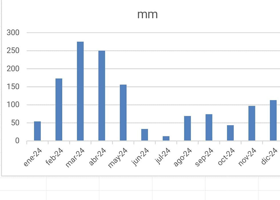 Balkendiagramm Regenstatistik 2024, Kolonie "El Ombu" Uruguay